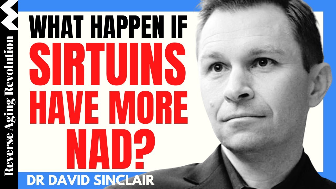 WHAT HEALTH BENEFITS Can We Get When Sirtuins Have More NAD? | Dr David Sinclair’s Interview Clips