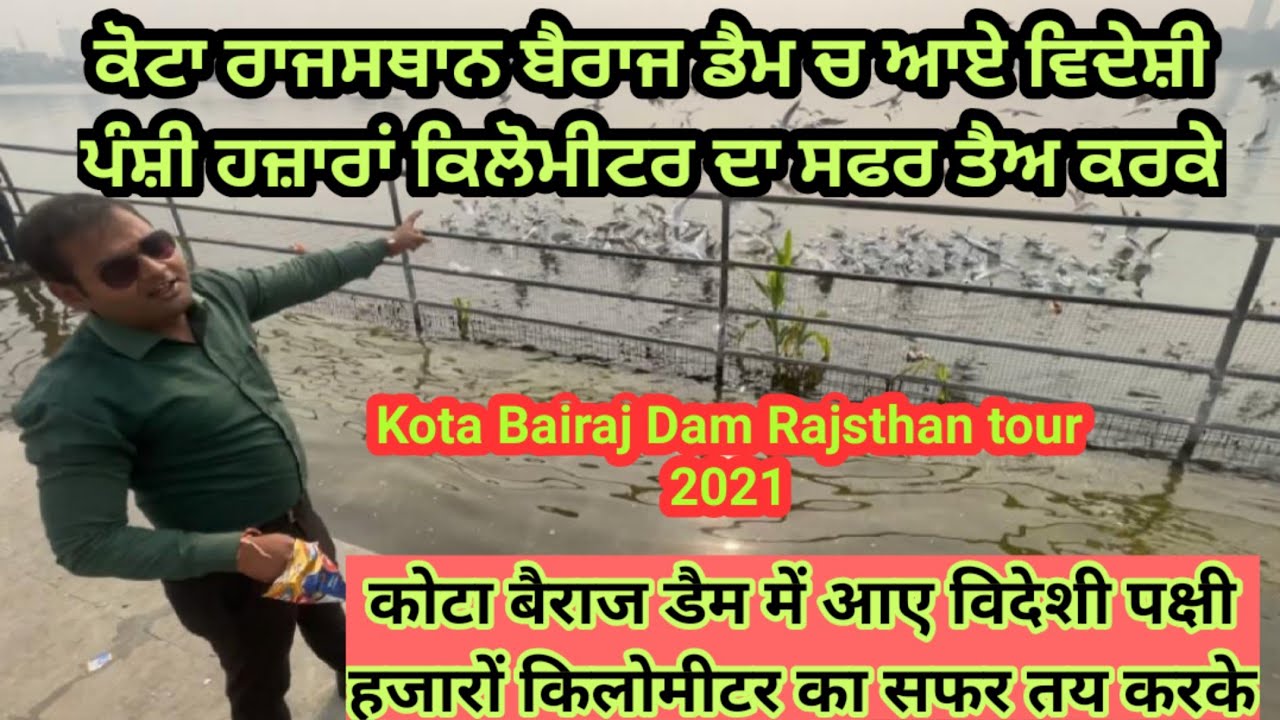 ਕੋਟਾ ਬੈਰਾਜ ਡੈਮ। कोटा बैराज डैम में आए विदेशी पक्षी हज़ारों किलोमीटर का सफर तय करके। पंजाब पैदावार