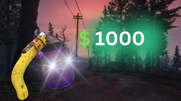 10$ to 1000$ CHALLENGE Day 2 | Rustclash