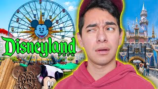 Disneyland Madness…