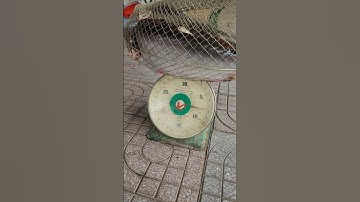 chiến lợi phẩm cảng cái cui cần thơ