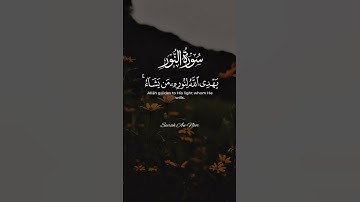 سورة النور || يَكَادُ زَيْتُهَا يُضِيءُ وَلَوْ لَمْ تَمْسَسْهُ نَارٌ ۚ..