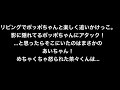 リビングで楽しく追いかけっこしてる夫婦。影に隠れてる妻にアタック！...と思ったらそこにいたのは赤ちゃんの隣で寝てるはずのあいおばちゃんだった...！！