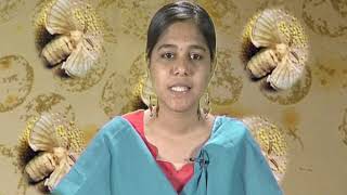 Economic of silkworm egg Production