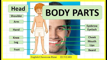 Learn English - the Body Parts - Listening - Beginner