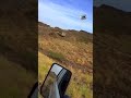 شيلة ولي يادنيا الشقاء