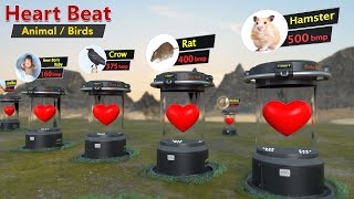 Animal Heart Beat rate comparison | Animal | Birds