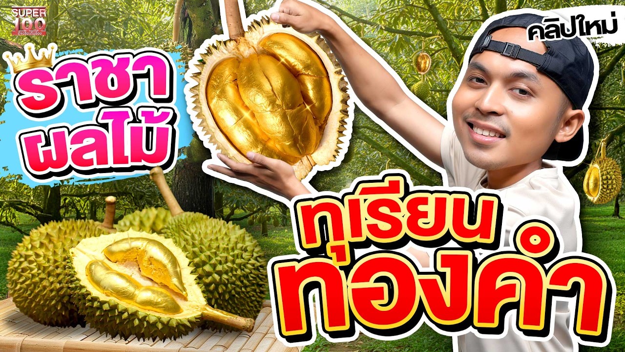 อร่อยแค่ไหน? ทุเรียนทองคำสูตรย่า ตีตลาดออนไลน์ #เวฟ เกษตรกรรุ่นใหม่   | SUPER100