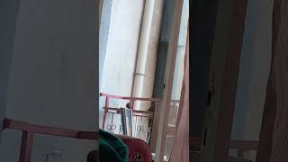 Antalya, Turkey, My Little Birds Have Returned.