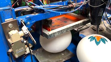 4 Colour Custom Balloon Print