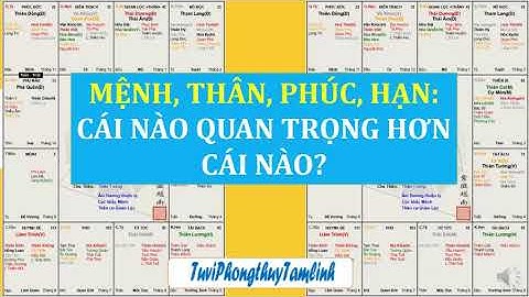 Tuổi và mệnh cái nào quan trọng hơn năm 2024