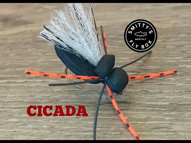 Project Cicada Fly  Mad River Outfitters