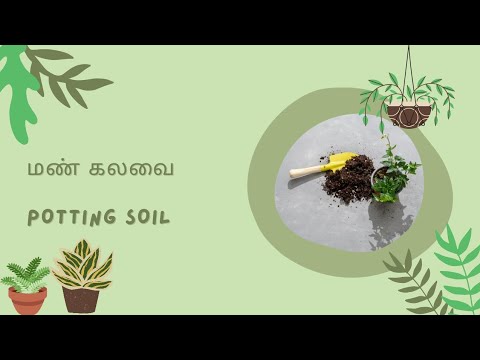 மண் கலவை தயார் செய்வது எப்படி? - How to prepare potting soil for your ...