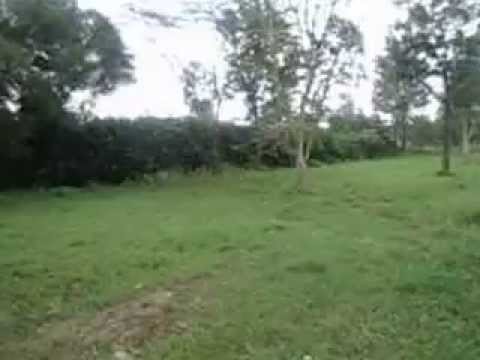 undeveloped residential Land for Sale in Kenya Kerarapon Karen