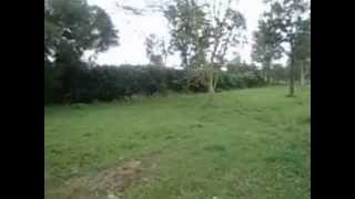 undeveloped residential Land for Sale in Kenya Kerarapon Karen