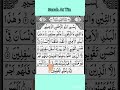 SURAH AT-TIN (سورة التين) - EgzonIbrahimi🤲 #egzonibrahimi #surahattin#quranrecitation#quran#trending