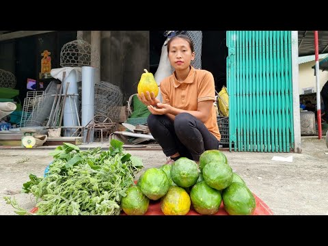 Harvest vegetable garden & papaya to bring to market sell | Triệu Thị Dất