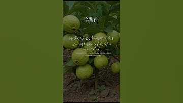سورة النصر#Surah An-Nasr