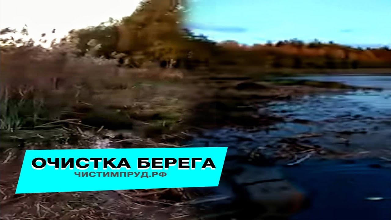 Чистка водоёма в Сиверском. Инструменты для очистки пруда. Уборка ...