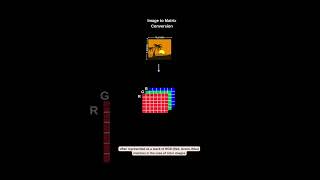 Image to Matrix Conversion in Convolutional Neural Network | CNN #shorts