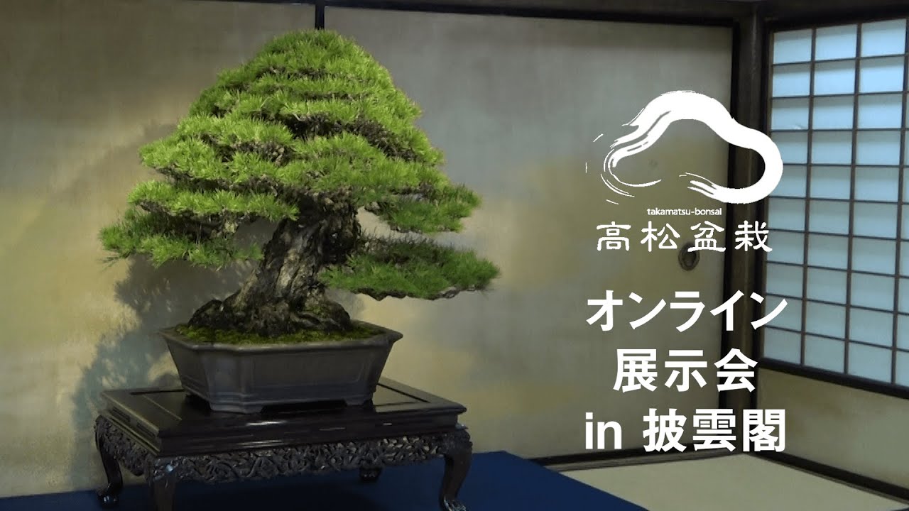 高松盆栽の郷フェスタ