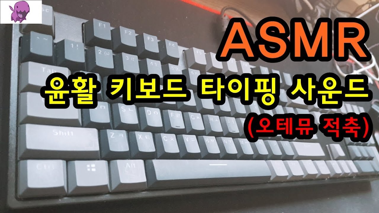 【ASMR】 윤활 기계식키보드 타이핑 소리 Mechanical Keyboard Typing Sound