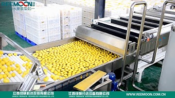 REEMOON Lemon Sorting Tech