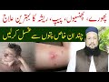 Phoray, Phunsi Ka Bohat Hi Asan Or Azmuda Totka | Hakeem Mehmood Tohidee