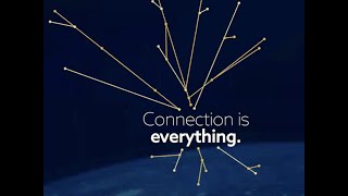 PK Insights: The importance of translation and localization