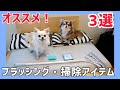 【犬の毛問題解消】