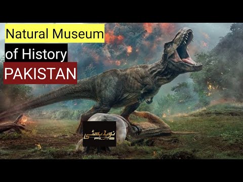 Museum of Natural