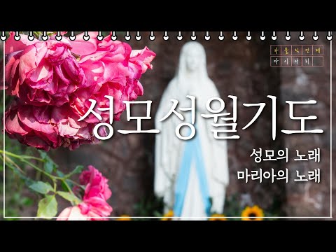 영상썸네일