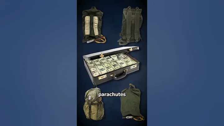 The Greatest FBI Mystery Ever 😨  EXPLAINED #mystery