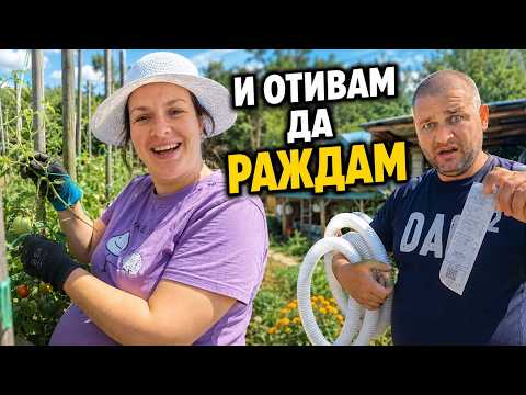 Още 3–4 пъти връзвам доматите… и отивам да раждам
