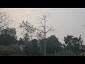 Nature sound#naturelovers #wildlife #shorts