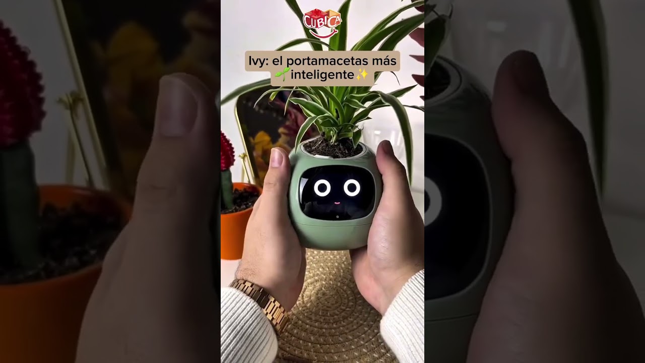 MACETA INTELIGENTE IVY