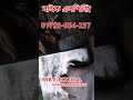 bike lpg kit and  cylinder price in dhaka bangladesh 24