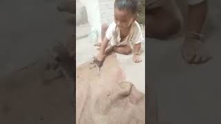 love baby smal cat #shorts #cute #cat #shortvideo #shortsfeed