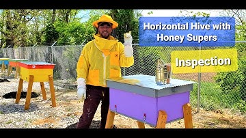 Horizontal Hive with Honey Supers (Inspection) #horizontalhive #horizontalhiveinspection #honeybees