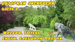 Обзорная экскурсия - часть 3. Жирафы, тюлень, еноты, бабушкин дворик. Тайган.