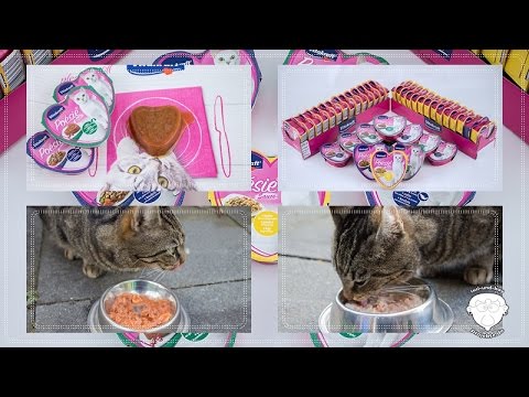 Vitakraft Poésie FutterTest | Bella Testet | Katzenfutter