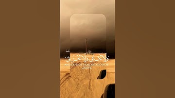 سورة القصص ياسر الدوسري كامله #ياسر_الدوسري #قران_كريم #اكسبلور #دويتو #ياسر_الدوسري  #تيك_توك