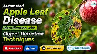 Automated Apple Leaf Disease Identification Using Object Detection 🍎 | AI-Powered Smart Farming
