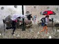 Italy chaos today..!! Large hailstorm in Cesano Maderno, destroying cars in Brianza