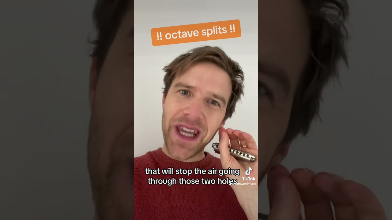 Octave Split Harmonica Lesson