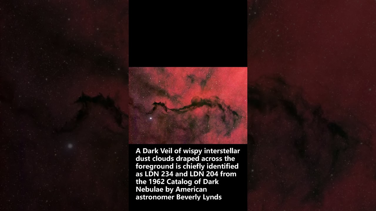 2025-08-29 Daily NASA: A Dark Veil in Ophiuchus