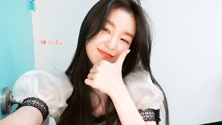 [RV Days] 📣애니멀 사운드 발사아아ㅏㅏㅏ😆 | 고려대 입실렌티 & 드림콘서트 비하인드