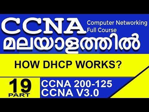 CCNA Part 19 : How DHCP Works