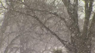 Sven Sundgaard and Laura Betker explain the Polar Vortex