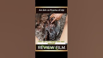 [Review Film] Ám ảnh cá Piranha Cổ đại